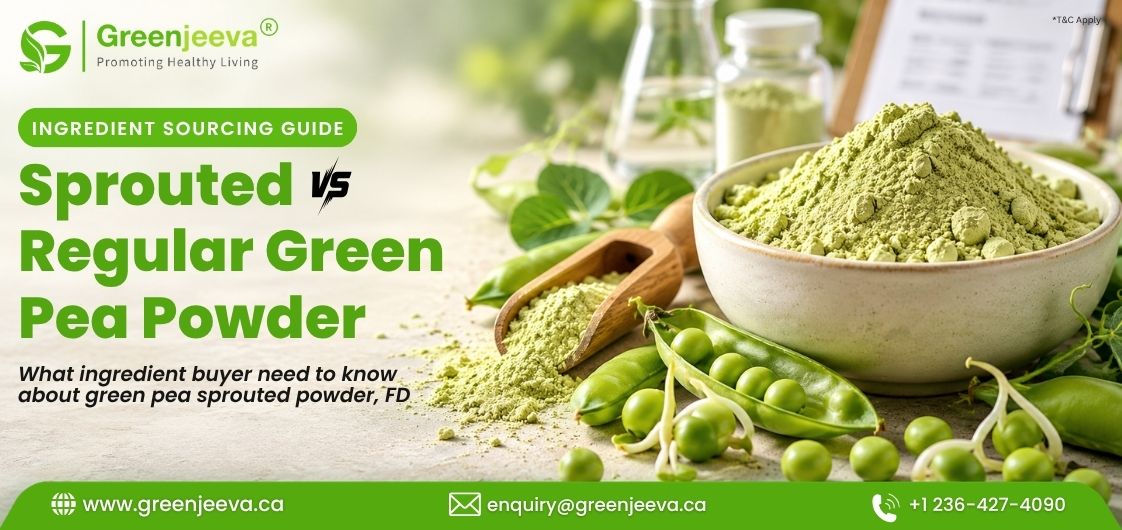 How Sprouting Changes Green Pea Powder: A Guide for Ingredient Buyers